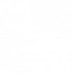 The Culture Trip